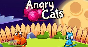 Angry cats