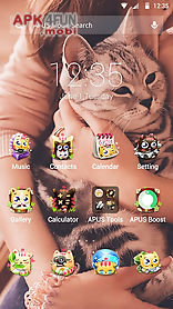 cute cats theme for apus