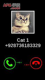 fake call cat joke