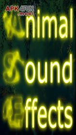 animal sound effects