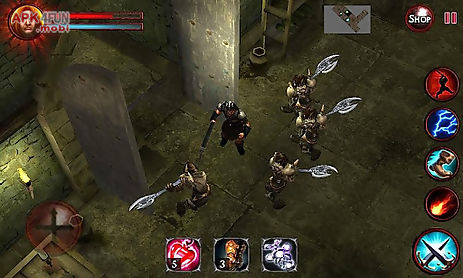 demons & dungeons (action rpg)