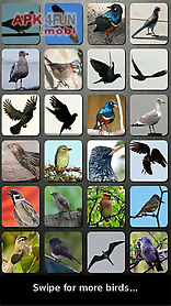 bird sounds nature sounds app