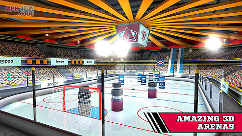 pin hockey - ice arena