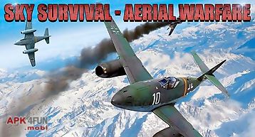 Sky survival: aerial warfare