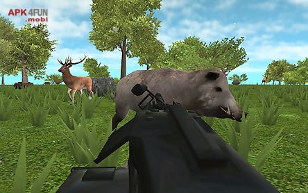 hunter: animals in the forest