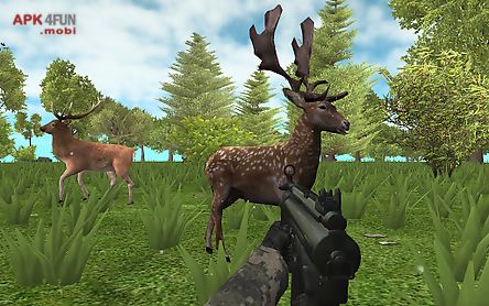 hunter: animals in the forest