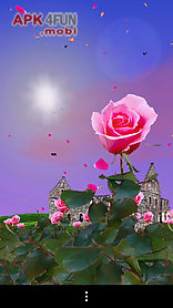rose garden free