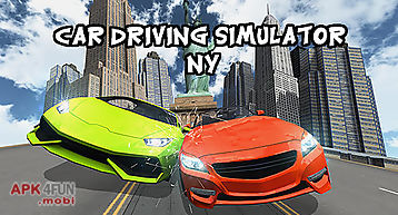 Car driving simulator: ny