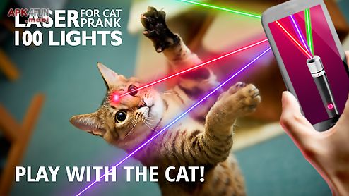 laser for cat 100 lights prank