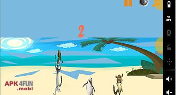 Penguin madagascar on beach