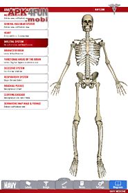 anatomy study guide