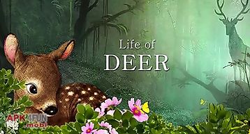 Life of deer