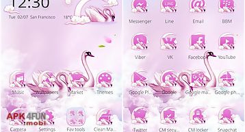 Pink love swan theme