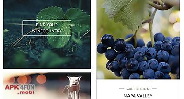 Napa and sonoma winecountry