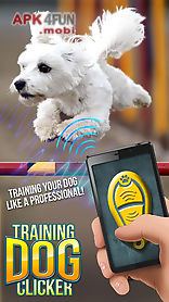 training dog clicker