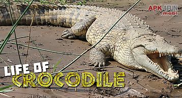 Life of crocodile - wild sim