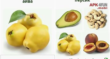 Russian in pictures food free