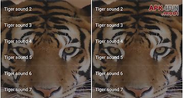 Tiger sounds