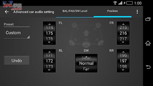 advanced car audio setting