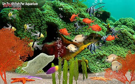 myreef 3d aquarium