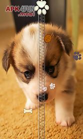 cute puppy zipper lock screen