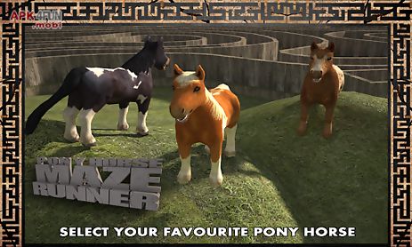 pony horse maze run simulator
