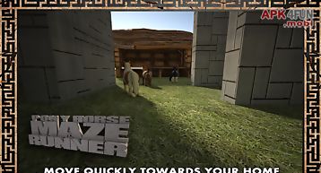 Pony horse maze run simulator