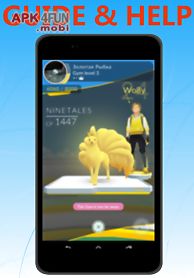 guide and help pokemon go