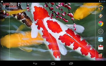 interactive koi fish 3d