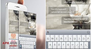 Touchpal classic style theme