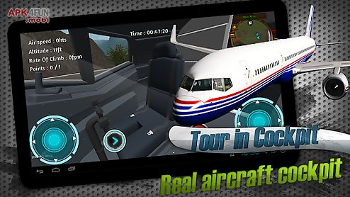virtual flight simulator
