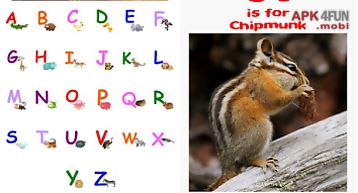 Zoo alphabet