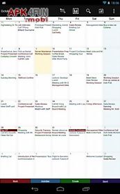 business calendar pro ordinary