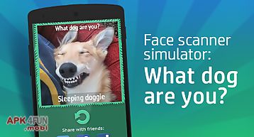 Face scanner: what doggy