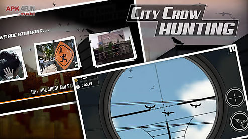 city crow hunting : adventure