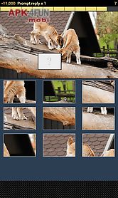 animal picture puzzle