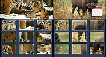 Animal picture puzzle