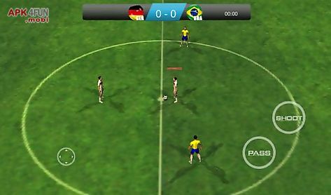 world cup soccer 2014