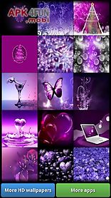lovely purple hd wallpapers