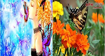 Find differences butterflies