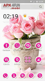 pink rose theme love
