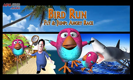 bird run, fly&jump: angry race