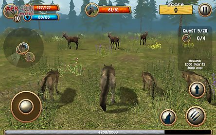 wild wolf simulator 3d